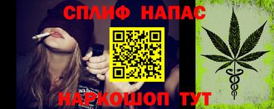 гашик Ярославль