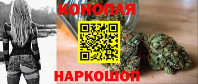 гашик Ярославль