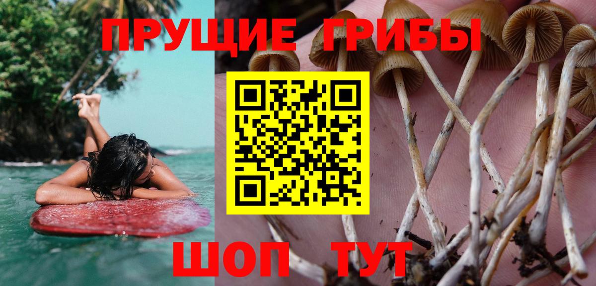 Галлюциногенные грибы GOLDEN TEACHER Тобольск