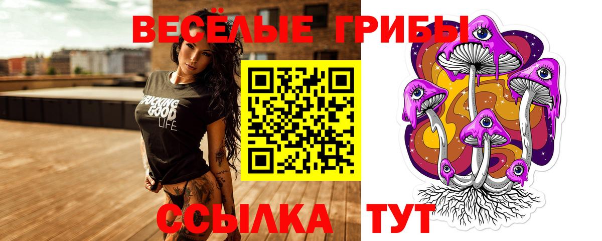 Галлюциногенные грибы мухоморы  Вход с VPN  Тобольск 